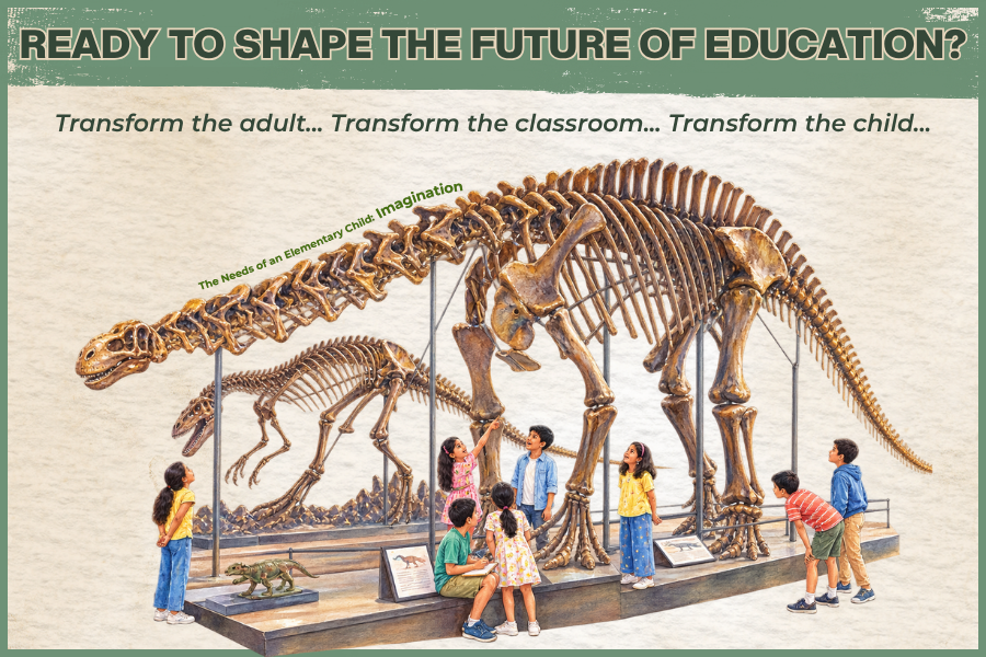 Montessori Elementary Course 2027-28